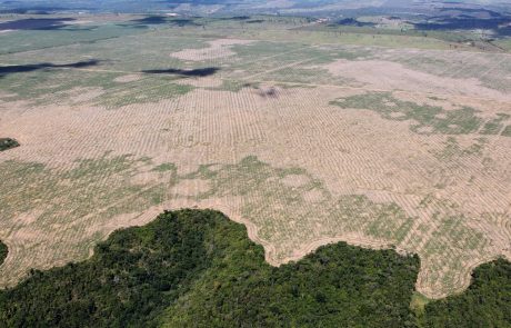 Amazonie : Forte augmentation de la déforestation pendant la crise de Covid-19