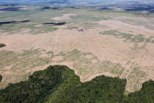 Amazonie : Forte augmentation de la déforestation pendant la crise de Covid-19