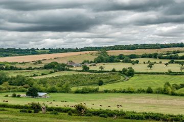 Restaurer la biodiversité des sols agricoles : un enjeu clé face à la sécheresse