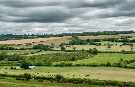 Restaurer la biodiversité des sols agricoles : un enjeu clé face à la sécheresse