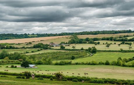 Restaurer la biodiversité des sols agricoles : un enjeu clé face à la sécheresse