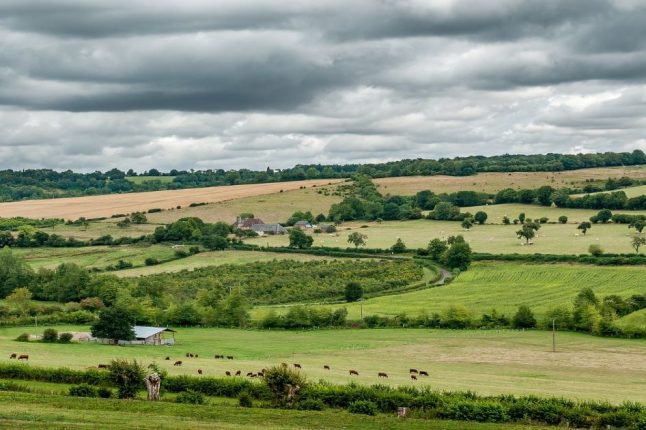 Restaurer la biodiversité des sols agricoles : un enjeu clé face à la sécheresse