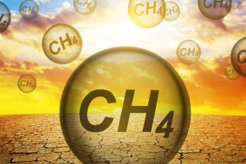 La COP28 met l’accent sur la concrétisation des engagements en matière de méthane