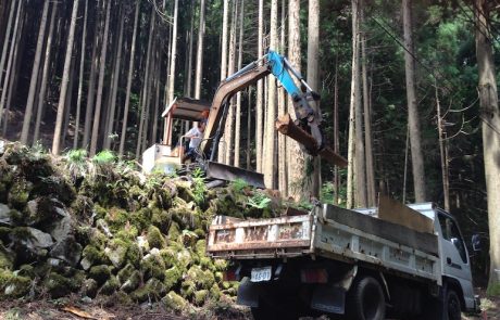 Énergie et biodiversité : le bois énergie et son impact sur l’environnement