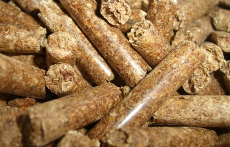 Énergies renouvelables : Des granulés de bois fabriqués à partir d’écodéchets