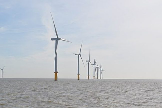 Énergies renouvelables : le report du projet d’éoliennes flottantes en Méditerranée « fortement demandé »