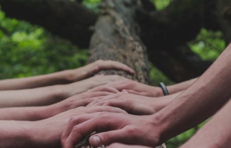 À Euroforest, la filière forêt-bois se prépare aux défis d’aujourd’hui et de demain