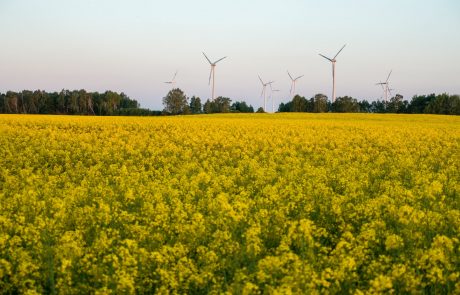 L’UE pourrait revoir à la hausse ses objectifs en matière d’énergie renouvelable