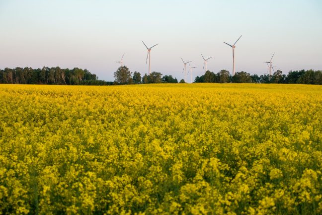 L’UE pourrait revoir à la hausse ses objectifs en matière d’énergie renouvelable