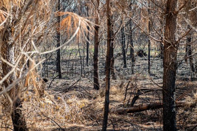 La France combat ses premiers feux de forêt alors que la vague de chaleur précoce se propage