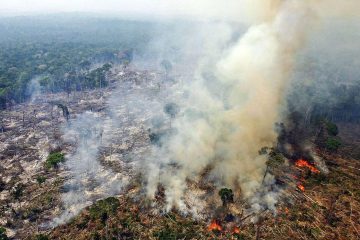 Le Brésil demande aux propriétaires terriens de cesser d’allumer des feux dans le cadre de l'”urgence climatique” en Amazonie