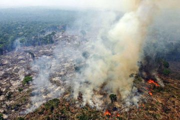 Le Brésil demande aux propriétaires terriens de cesser d’allumer des feux dans le cadre de l' »urgence climatique » en Amazonie