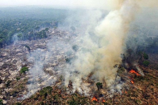 Le Brésil demande aux propriétaires terriens de cesser d’allumer des feux dans le cadre de l'”urgence climatique” en Amazonie
