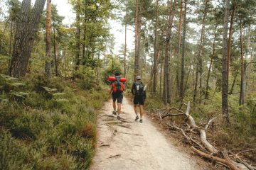 Les forestiers, protecteurs de la forêt… et des promeneurs