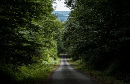 Morcellement des forêts : le réchauffement climatique exige une gestion plus concertée