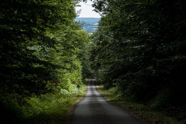 Morcellement des forêts : le réchauffement climatique exige une gestion plus concertée