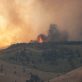 Forêt : une loi pour renforcer la lutte contre les incendies
