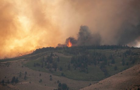 Forêt : une loi pour renforcer la lutte contre les incendies