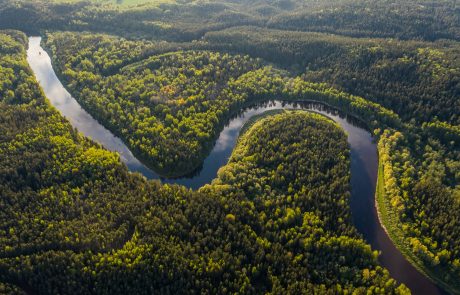 Les forêts du patrimoine mondial émettent désormais plus de CO2 qu’elles n’en stockent