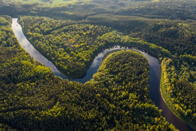 Les forêts du patrimoine mondial émettent désormais plus de CO2 qu’elles n’en stockent