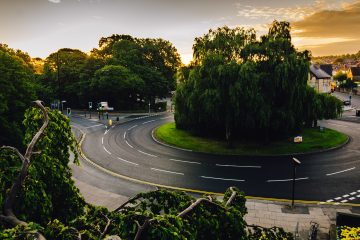 Les forêts urbaines à la conquête de la ville