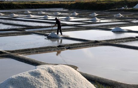 France : les producteurs de sel marin inquiets d’un futur label Bio européen