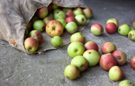 Fruits et légumes : les aliments les plus gaspillés  par les Français