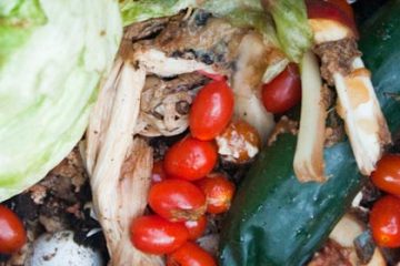 Gaspillage alimentaire : Au moins 1 milliard de repas sont jetés chaque jour dans le monde