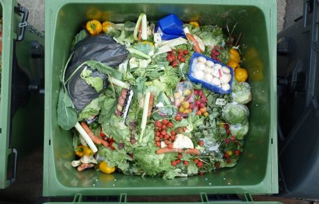 Les ménages de l’UE ont gaspillé 70 kg de nourriture par personne en 2020