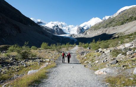 Les glaciers disparaissent à un rythme record dans les Alpes suite aux vagues de chaleur