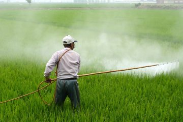 Une initiative citoyenne européenne pour interdire le glyphosate