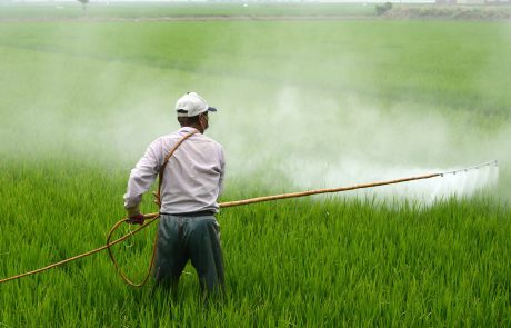 Une initiative citoyenne européenne pour interdire le glyphosate