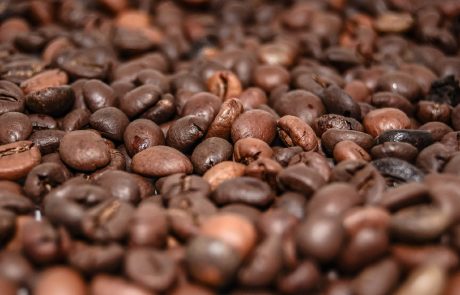 Éthiopie : le réchauffement climatique menace la culture du café
