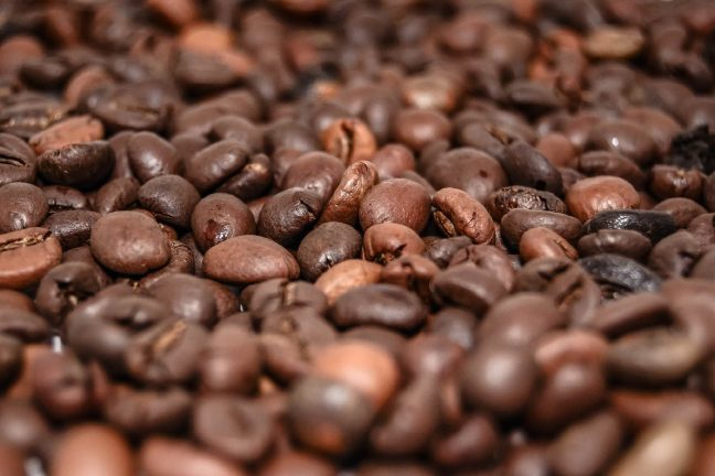 Éthiopie : le réchauffement climatique menace la culture du café