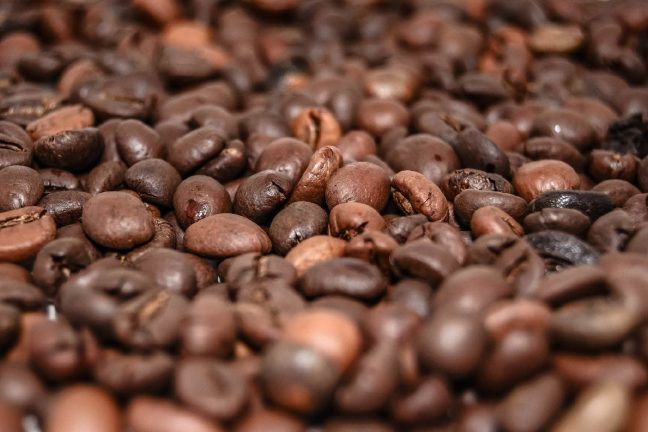 Éthiopie : le réchauffement climatique menace la culture du café
