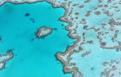 Un drone à la rescousse de la Grande Barrière de Corail