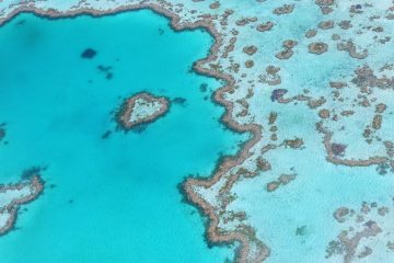 Un drone à la rescousse de la Grande Barrière de Corail