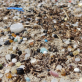 La Commission européenne propose des mesures pour réduire la pollution microplastique due aux granulés de bois