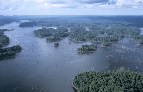 Guyane : la croisée des chemins pour le Lac de Petit Saut, entre exploitation industrielle et préservation écologique