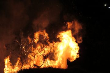 Incendies de forêts : « Notre région des Bouches-du-Rhône était un peu un laboratoire »
