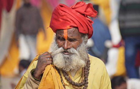 Inde : démantèlement d’un village accusé de nuire aux tigres