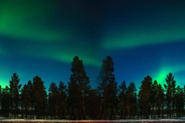 Un hôtel finlandais facture ses clients en fonction de leurs émissions de carbone