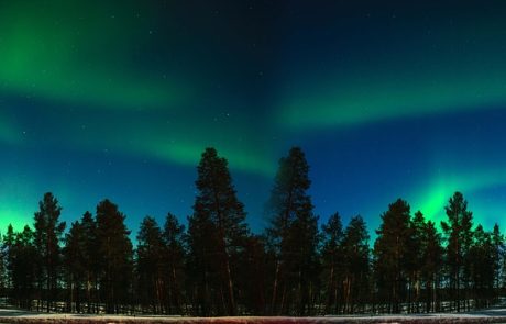 Un hôtel finlandais facture ses clients en fonction de leurs émissions de carbone