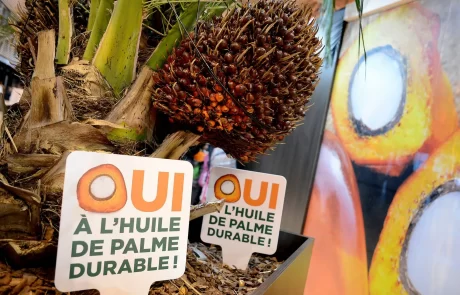 Une entreprise malaisienne lance le premier marché en ligne d’huile de palme durable