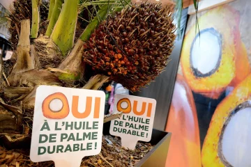 Une entreprise malaisienne lance le premier marché en ligne d’huile de palme durable