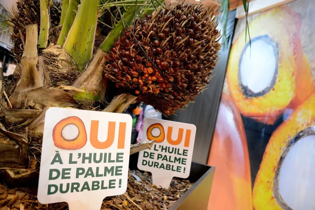 Une entreprise malaisienne lance le premier marché en ligne d’huile de palme durable