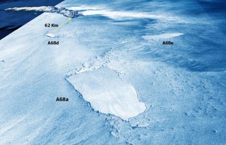 Des robots planeurs sondent l’impact de l’énorme iceberg sur l’écosystème de l’île aux pingouins
