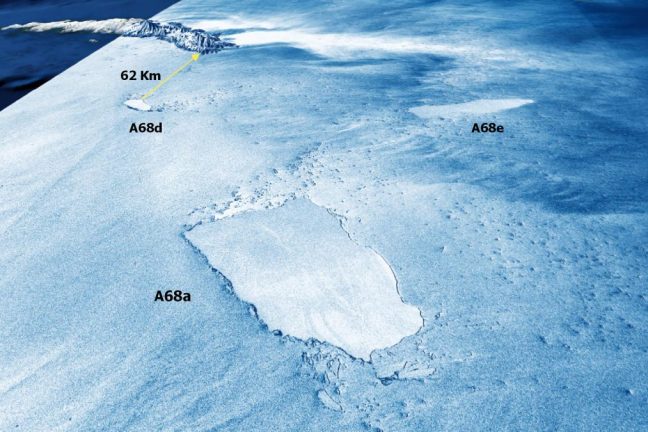 Des robots planeurs sondent l’impact de l’énorme iceberg sur l’écosystème de l’île aux pingouins