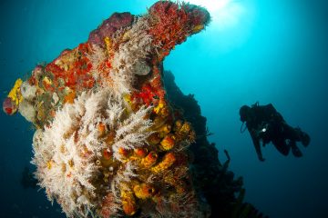 Des scientifiques repèrent une ancienne île engloutie au large des côtes brésiliennes