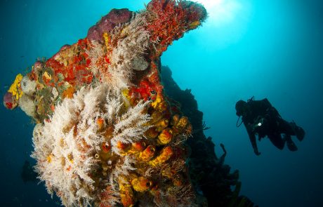 Des scientifiques repèrent une ancienne île engloutie au large des côtes brésiliennes